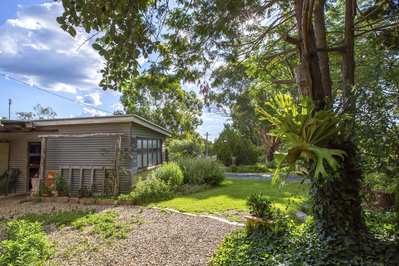 Wisteria Cottage Wyberba المظهر الخارجي الصورة
