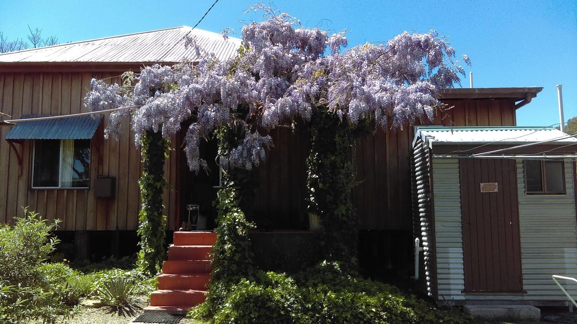 Wisteria Cottage Wyberba المظهر الخارجي الصورة